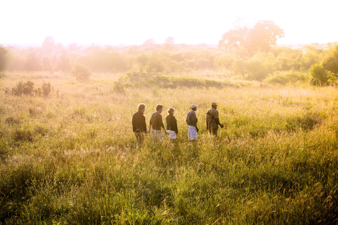 Walking-Safari